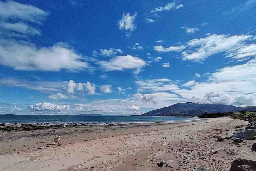 Castlegregory-Seaside 2 Bedroomed Cottage Eksteriør billede